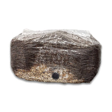 Load image into Gallery viewer, Grain & Master all-in-one Mushroom Fruiting Block (with built-in self-healing injection port)