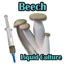 Load image into Gallery viewer, Beech (Hypsizygus tessulatus) Liquid Culture