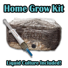 Load image into Gallery viewer, Gourmet Mushroom Home Grow Kit