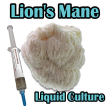 Load image into Gallery viewer, Lion's Mane (Hericium erinaceus) Commercial Liquid Culture