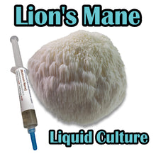 Load image into Gallery viewer, Lion's Mane (Hericium erinaceus) Liquid Culture