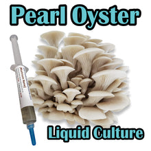 Load image into Gallery viewer, Pearl Oyster WPO (Pleurotus ostreatus) Commercial Liquid Culture