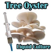 Load image into Gallery viewer, Tree Oyster (Pleurotus ostreatus) Liquid Culture
