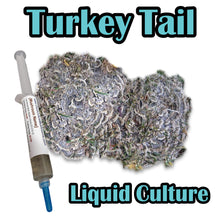 Load image into Gallery viewer, Turkey Tail (Trametes versicolor) Liquid Culture