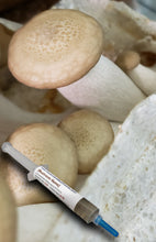 Load image into Gallery viewer, Beech (Hypsizygus tessulatus) Liquid Culture
