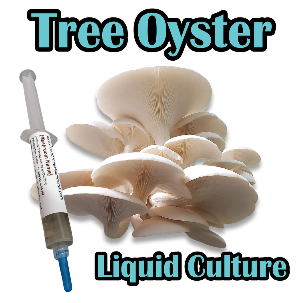 Tree Oyster (Pleurotus ostreatus) Liquid Culture